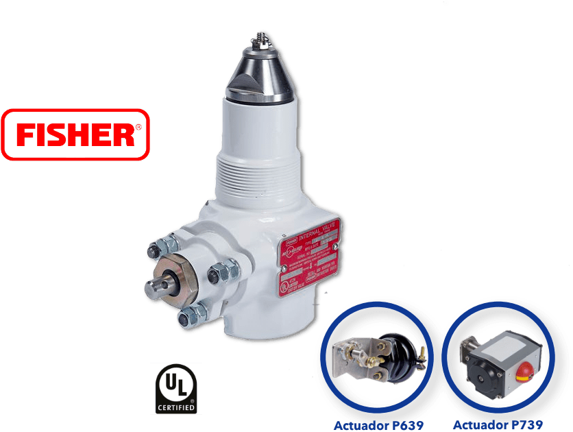 Válvula Interna C-477